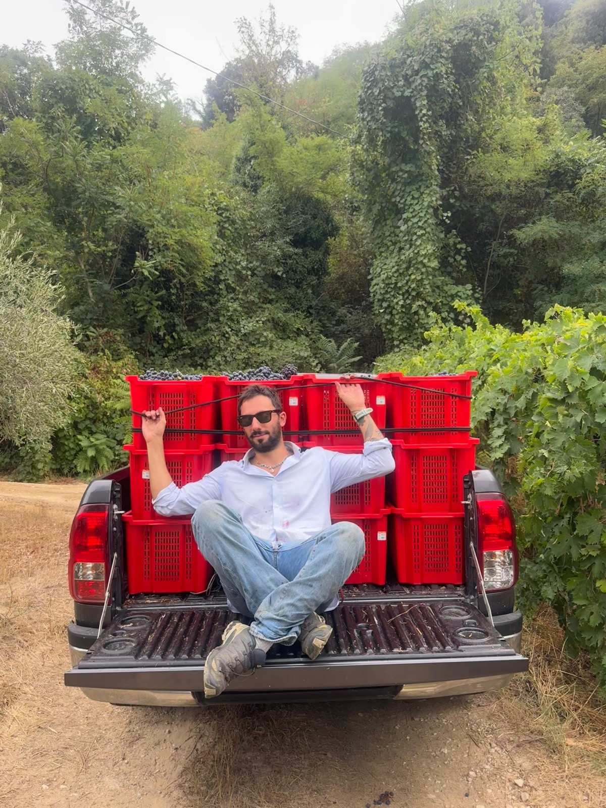 Seduto sul cassone del pick-up, davanti alle cassette rosse piene d’uva nera, in vendemmia